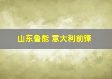 山东鲁能 意大利前锋